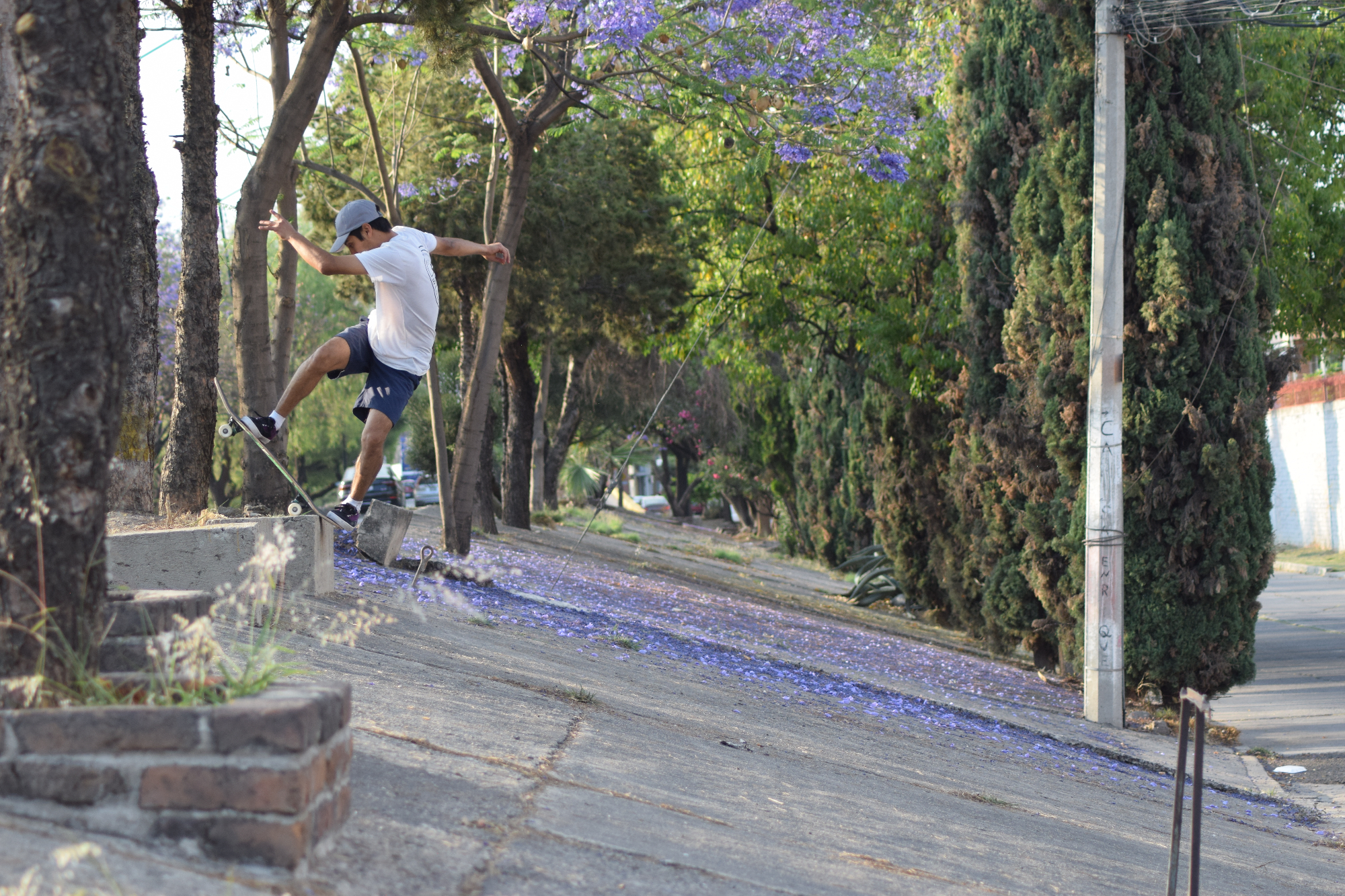 Leo Durón - Fs Blunt